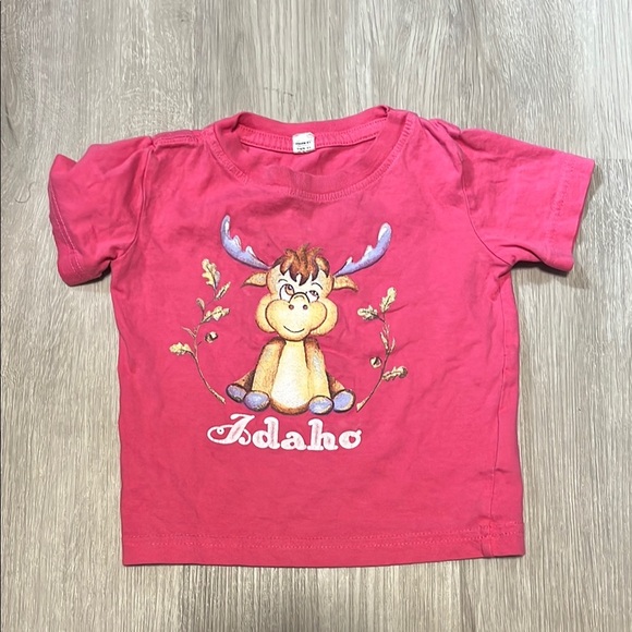 Idaho Kids Pink T-Shirt - Picture 1 of 1